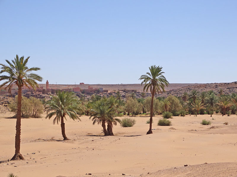 Circuit désert Maroc ! Une aventure inoubliable pour tous !